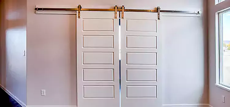 Glass Barn Door with Installation Hardware Kit Long Branch