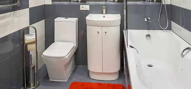 Hansgrohe Shaving Mirror Long Branch